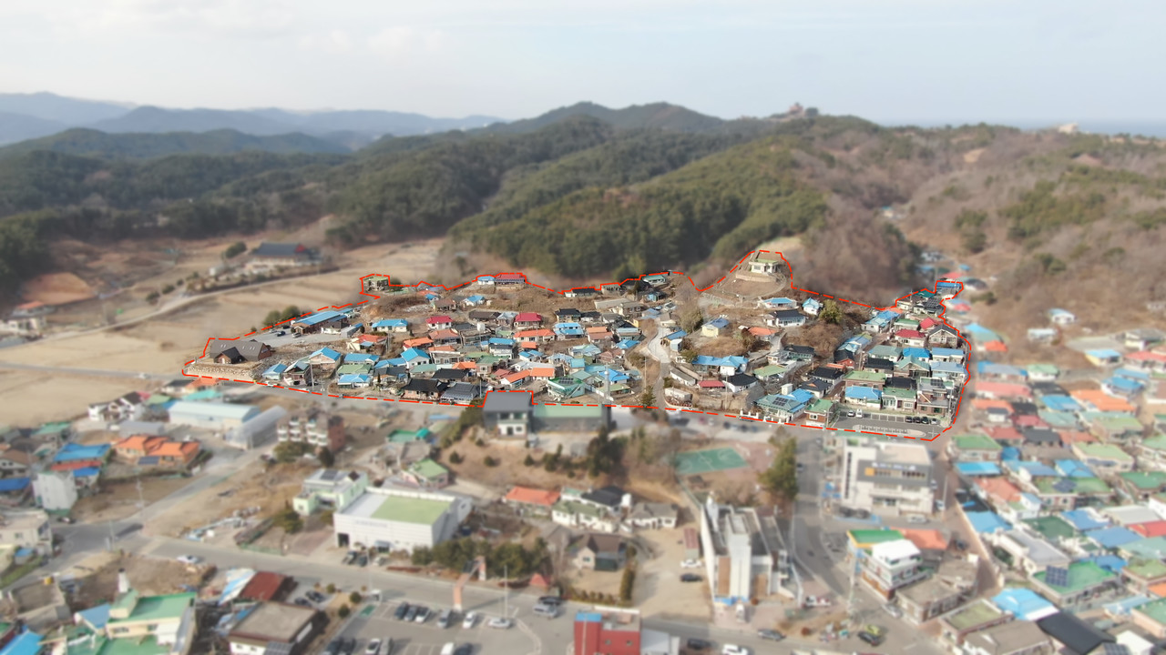 블랙우드 이미지 2